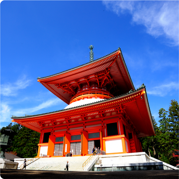 観光施設チケット