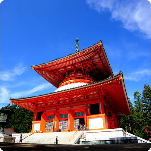 観光施設チケット